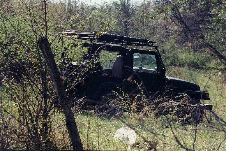 1999 Jeep Wrangler TJ - Click to Zoom In!