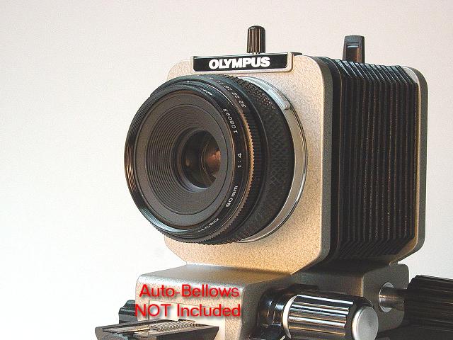 Olympus Zuiko MACRO 80mm f/4.0 - Click to Enlarge