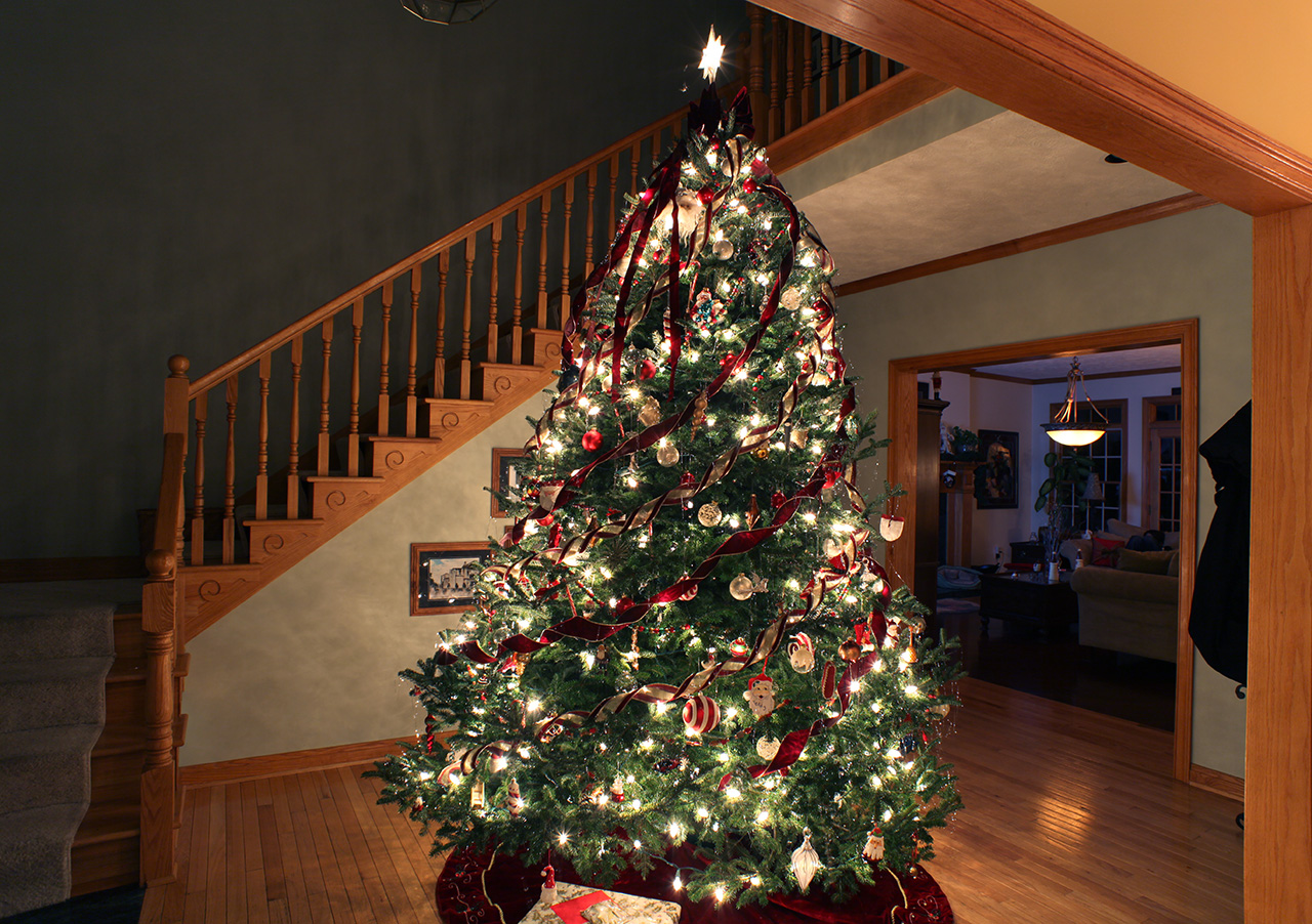 Click to Enlarge - Foyer with Tree (SMCT 1:4.5/20mm)