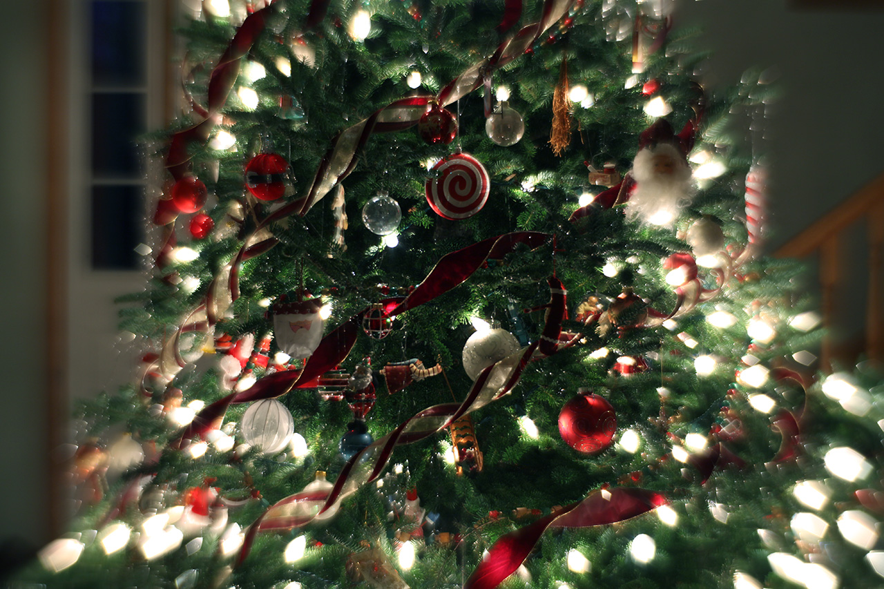 Click to Enlarge - Tree  (SMCP Soft 85mm 2.2)